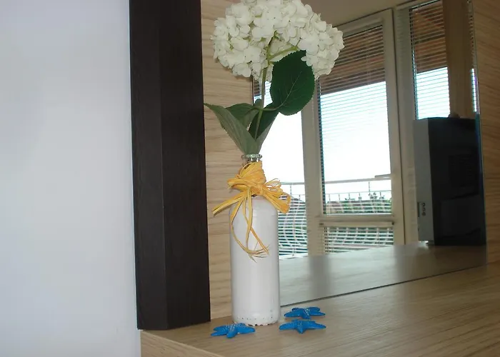 Guest house The Sunny 4*