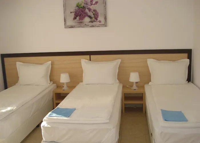 Guest house The Sunny 4*