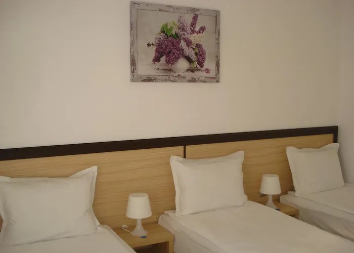 The Sunny Chernomorets